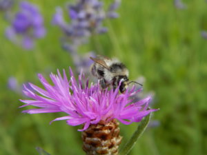 DSCN3705.JPG