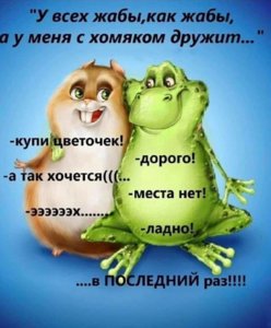 67837595_969676636711354_2731102229590179840_n.jpg