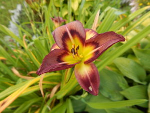 DSCN3940.JPG