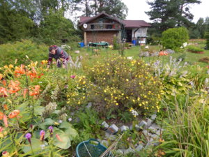 DSCN3943.JPG