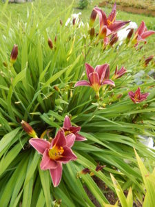 DSCN3953.JPG
