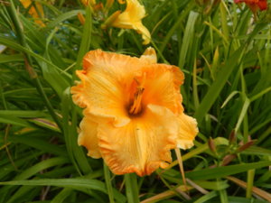DSCN3945.JPG