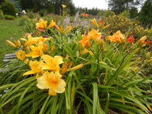 DSCN3947.JPG
