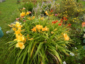 DSCN3948.JPG