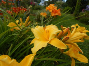 DSCN3951.JPG