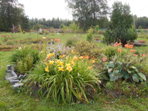 DSCN3998.JPG