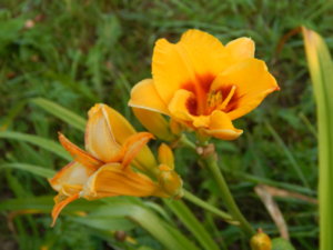 DSCN3862.JPG