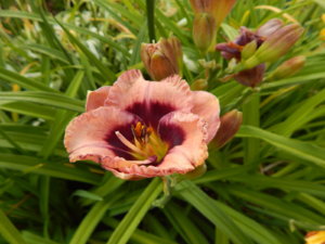 DSCN3949.JPG