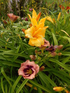 DSCN3950.JPG