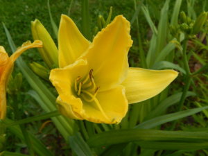 DSCN3815.JPG