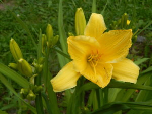DSCN4064.JPG