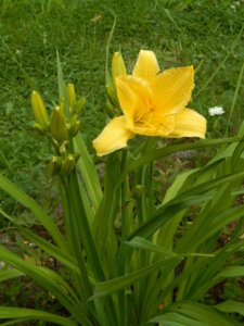DSCN4065.JPG