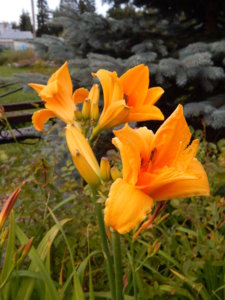 DSCN3883.JPG