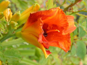 DSCN3884.JPG