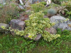 DSCN3897.JPG