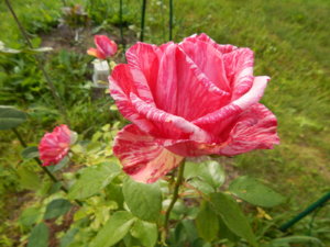 DSCN3820.JPG
