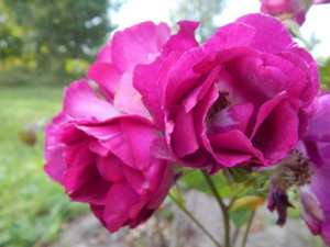 DSCN3826.JPG