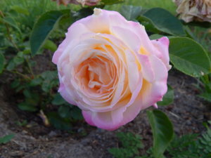 DSCN3861.JPG