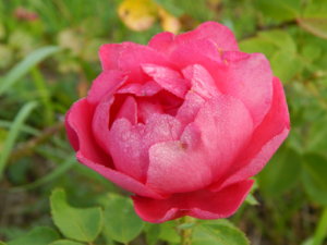 DSCN3863.JPG