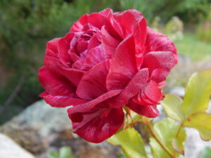 DSCN3879.JPG