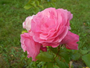 DSCN3881.JPG
