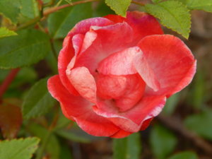 DSCN3825.JPG