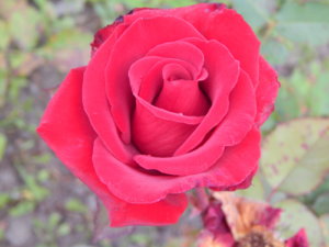DSCN3933.JPG