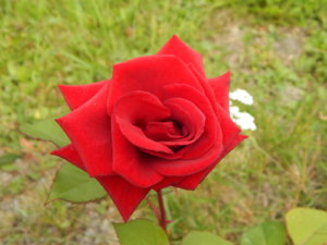 DSCN4114.JPG