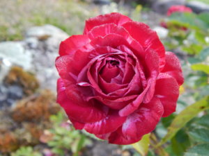 DSCN3878.JPG