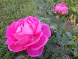 DSCN3857.JPG