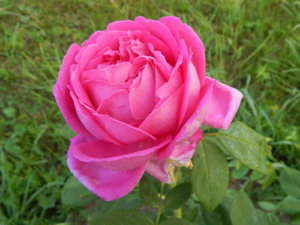 DSCN3859.JPG