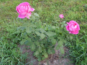 DSCN3860.JPG