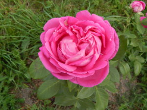 DSCN4081.JPG