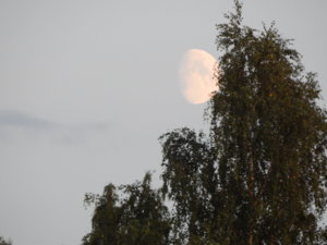 DSCN4050.JPG