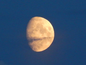 DSCN4054.JPG