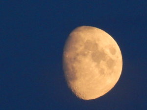 DSCN4056.JPG