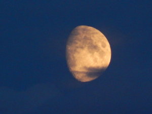 DSCN4057.JPG