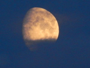 DSCN4059.JPG
