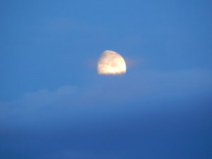 DSCN4060.JPG