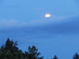 DSCN4061.JPG