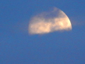 DSCN4062.JPG