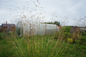 DSC04255.JPG