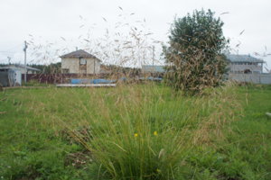 DSC04257.JPG