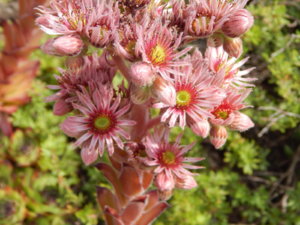 DSCN3022.JPG
