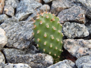 DSCN3870.JPG