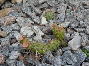DSCN3871.JPG