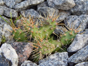 DSCN3873.JPG