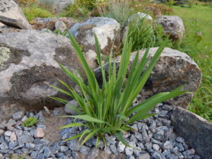 DSCN3874.JPG