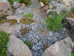 DSCN3875.JPG