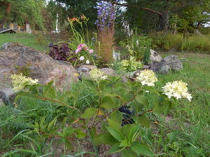 DSCN3832.JPG